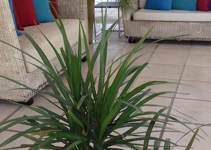 Lejlighedshotel Irene's